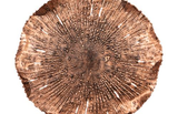 Phillips Collection Lotus Copper/Black SM Wall Art