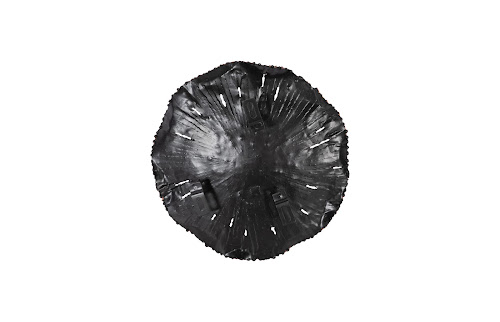 Phillips Collection Lotus Copper/Black SM Wall Art