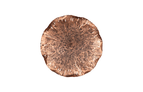 Phillips Collection Lotus Copper/Black MD Wall Art