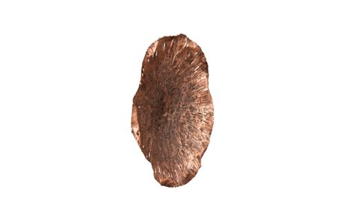 Phillips Collection Lotus Copper/Black MD Wall Art