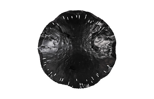 Phillips Collection Lotus Copper/Black MD Wall Art