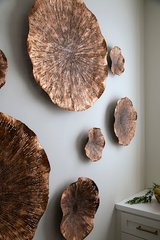 Phillips Collection Lotus Copper/Black MD Wall Art