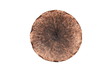 Phillips Collection Lotus Copper/Black LG Wall Art