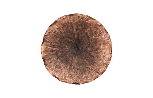 Phillips Collection Lotus Copper/Black LG Wall Art