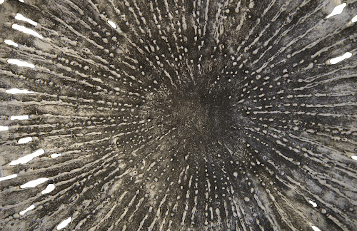 Phillips Collection Lotus Silver/Black SM Wall Art