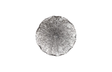 Phillips Collection Lotus Silver/Black MD Wall Art