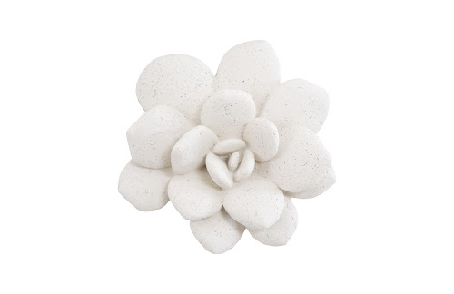 Phillips Collection Laui Succulent White Stone Wall Art