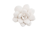 Phillips Collection Laui Succulent White Stone Wall Art