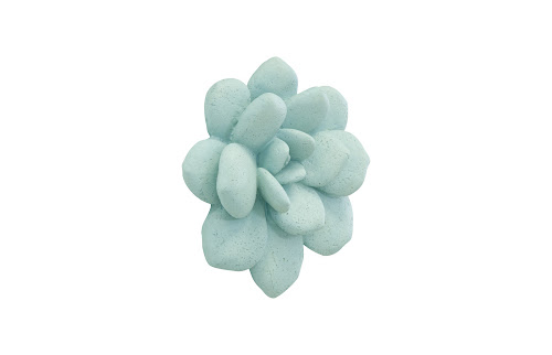 Phillips Collection Laui Succulent Sage Wall Art