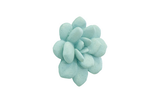 Phillips Collection Laui Succulent Sage Wall Art