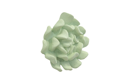 Phillips Collection Topsy Turvy Succulent Jade Wall Art