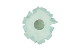 Phillips Collection Topsy Turvy Succulent Jade Wall Art