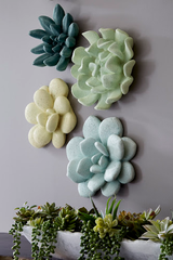 Phillips Collection Topsy Turvy Succulent Jade Wall Art