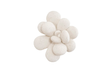 Phillips Collection Oviferum Succulent White Stone Wall Art
