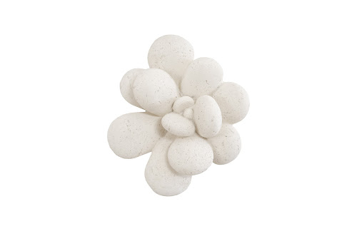 Phillips Collection Oviferum Succulent White Stone Wall Art