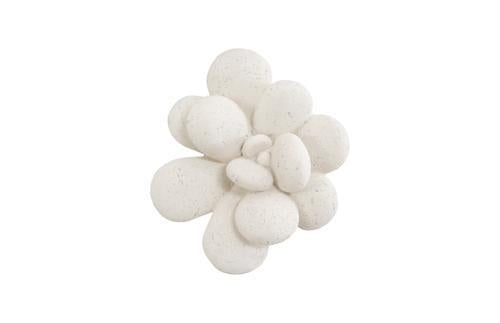 Phillips Collection Oviferum Succulent White Stone Wall Art