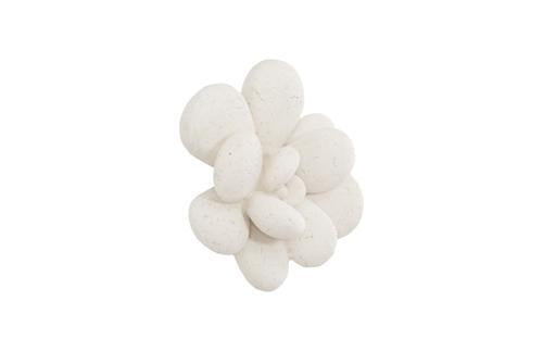 Phillips Collection Oviferum Succulent White Stone Wall Art