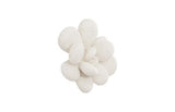Phillips Collection Oviferum Succulent White Stone Wall Art