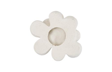 Phillips Collection Oviferum Succulent White Stone Wall Art