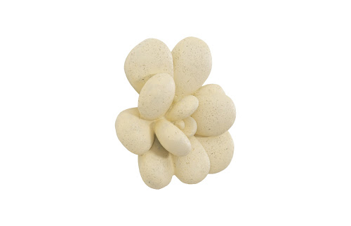 Phillips Collection Oviferum Succulent Chartreuse Wall Art