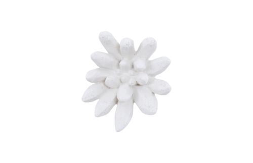 Phillips Collection Compactum Succulent , White Stone White Wall Art