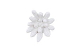 Phillips Collection Compactum Succulent , White Stone White Wall Art