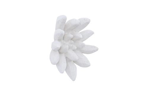 Phillips Collection Compactum Succulent , White Stone White Wall Art