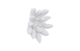 Phillips Collection Compactum Succulent , White Stone White Wall Art