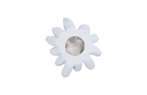 Phillips Collection Compactum Succulent , White Stone White Wall Art