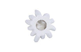 Phillips Collection Compactum Succulent , White Stone White Wall Art