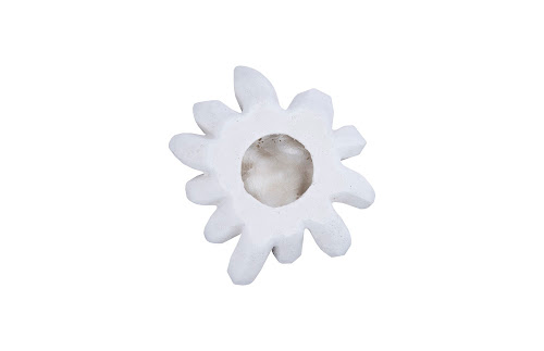 Phillips Collection Compactum Succulent , White Stone White Wall Art