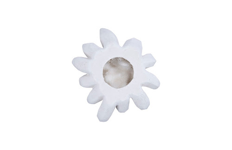 Phillips Collection Compactum Succulent , White Stone White Wall Art