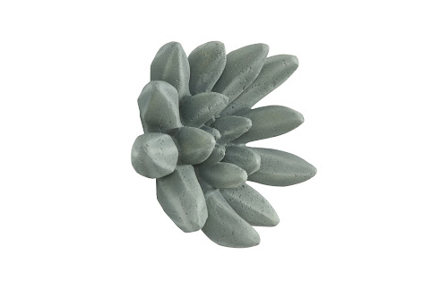 Phillips Collection Compactum Succulent Forest Wall Art