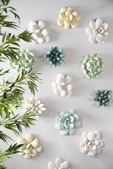 Phillips Collection Compactum Succulent Forest Wall Art