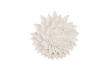 Phillips Collection Dahlia Flower , White Stone White Wall Art