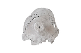 Phillips Collection Semi-Perforated Splash Bowl Wall Art Silver Leaf Accent