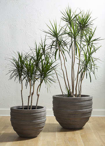 Phillips Collection June , Raw Gray XS Planter