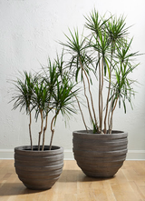 Phillips Collection June , Raw Gray SM Planter