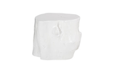 Phillips Collection Log Gel Coat White LG Stool