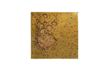 Phillips Collection Splotch Wall Art, Square, Gold Leaf Gold Accent