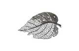 Phillips Collection Birch Leaf Wall Art, Silver, MD Silver Accent