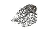 Phillips Collection Birch Leaf Wall Art, Silver, MD Silver Accent