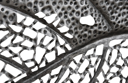 Phillips Collection Birch Leaf Wall Art, Silver, MD Silver Accent