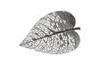 Phillips Collection Birch Leaf Wall Art Silver LG Accent