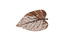 Phillips Collection Birch Leaf Wall Art, Copper, SM Amber Accent