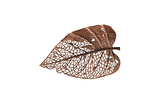 Phillips Collection Birch Leaf Wall Art, Copper, SM Amber Accent