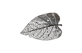 Phillips Collection Birch Leaf Wall Art Silver SM Accent