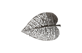 Phillips Collection Birch Leaf Wall Art, Silver, XS Silver Accent