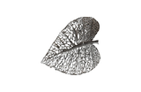 Phillips Collection Birch Leaf Wall Art, Silver, XS Silver Accent