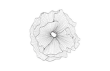 Phillips Collection Poppy Flower Wall Art, Silver/Black SM Accent